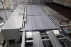 Babbco Direct Fired Tunnel Oven